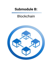 Frontier ICTs for Sustainable Development for Digital Leaders Submodule B: Blockchain