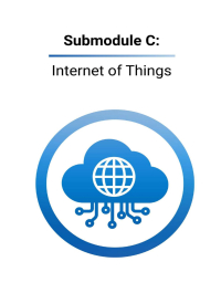 Frontier ICTs for Sustainable Development for Digital Leaders  Submodule C: Internet of Things