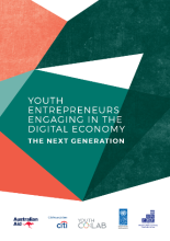 UNDP Youth Entrepreneurs